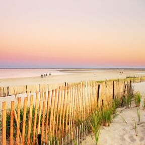 Strand am Cape Cod