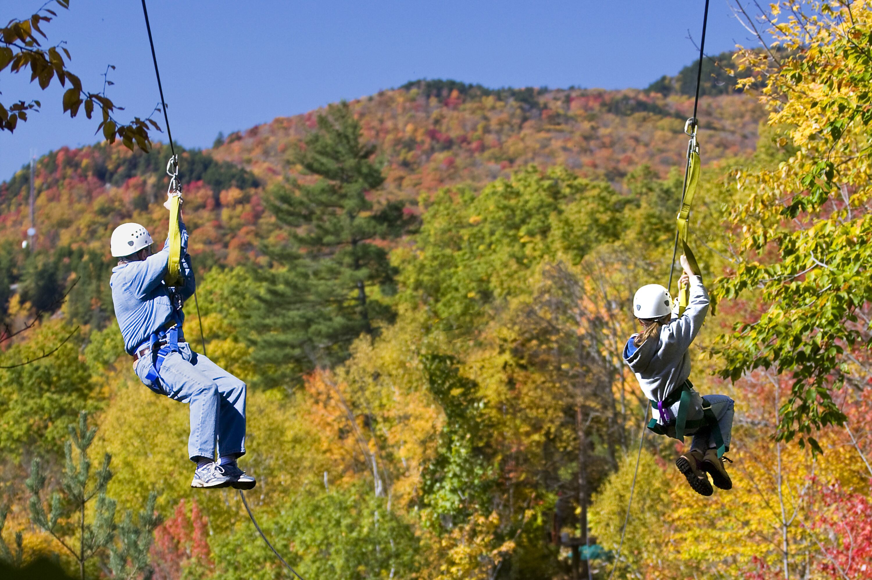 Lincoln - Zipline