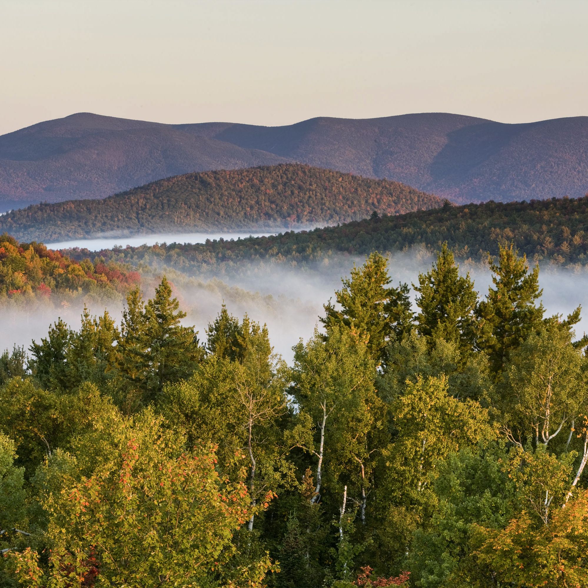 Morgendlicher Nebel Ã¼ber dem Milan Hill State Park in Milan im US-Bundesstaat New Hampshire