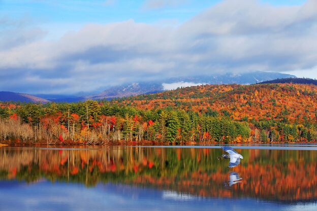 Wald in herbstlichen Farben spiegelt sich im See, White Mountains, New Hampshire