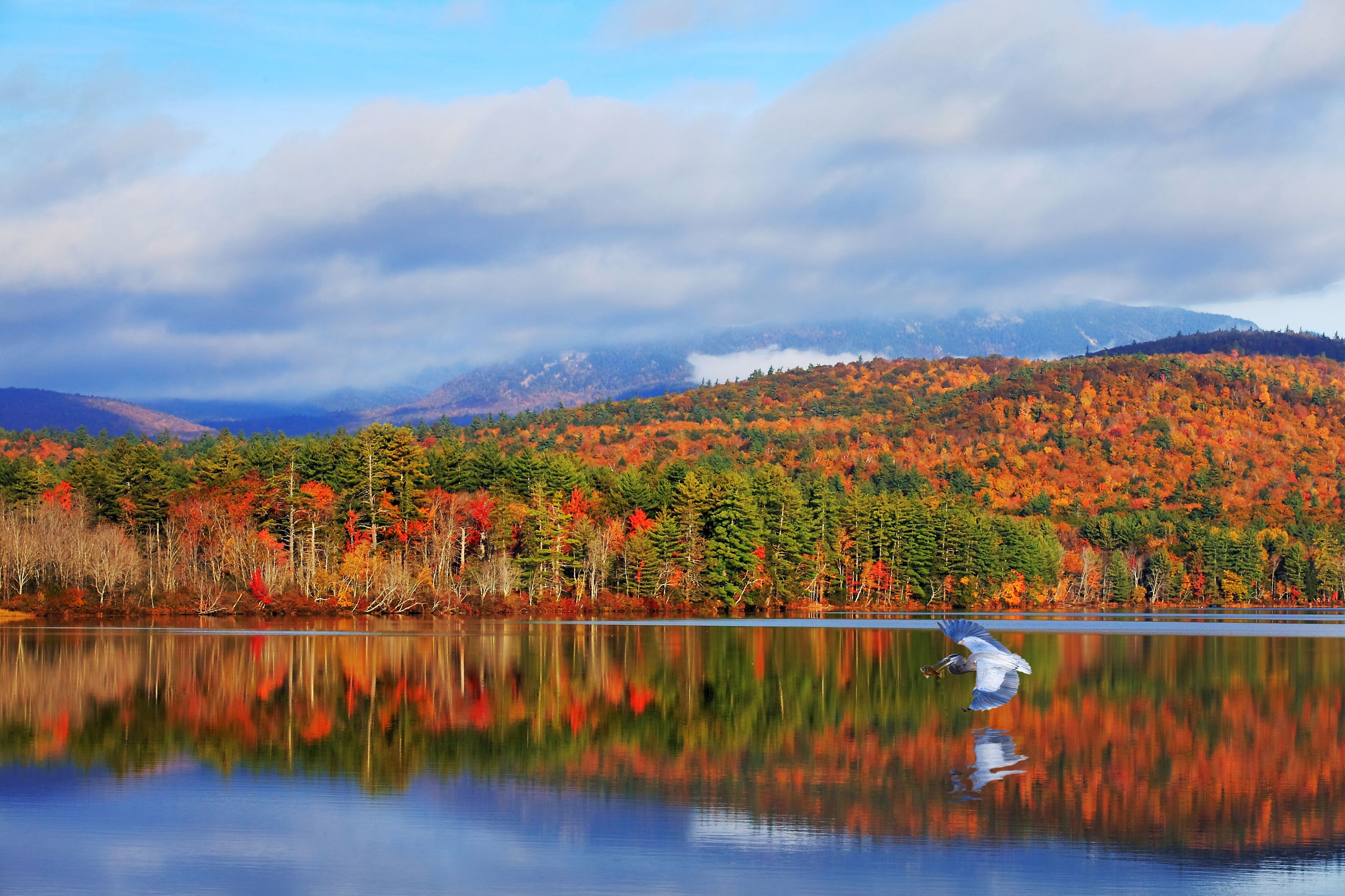 Wald in herbstlichen Farben spiegelt sich im See, White Mountains, New Hampshire