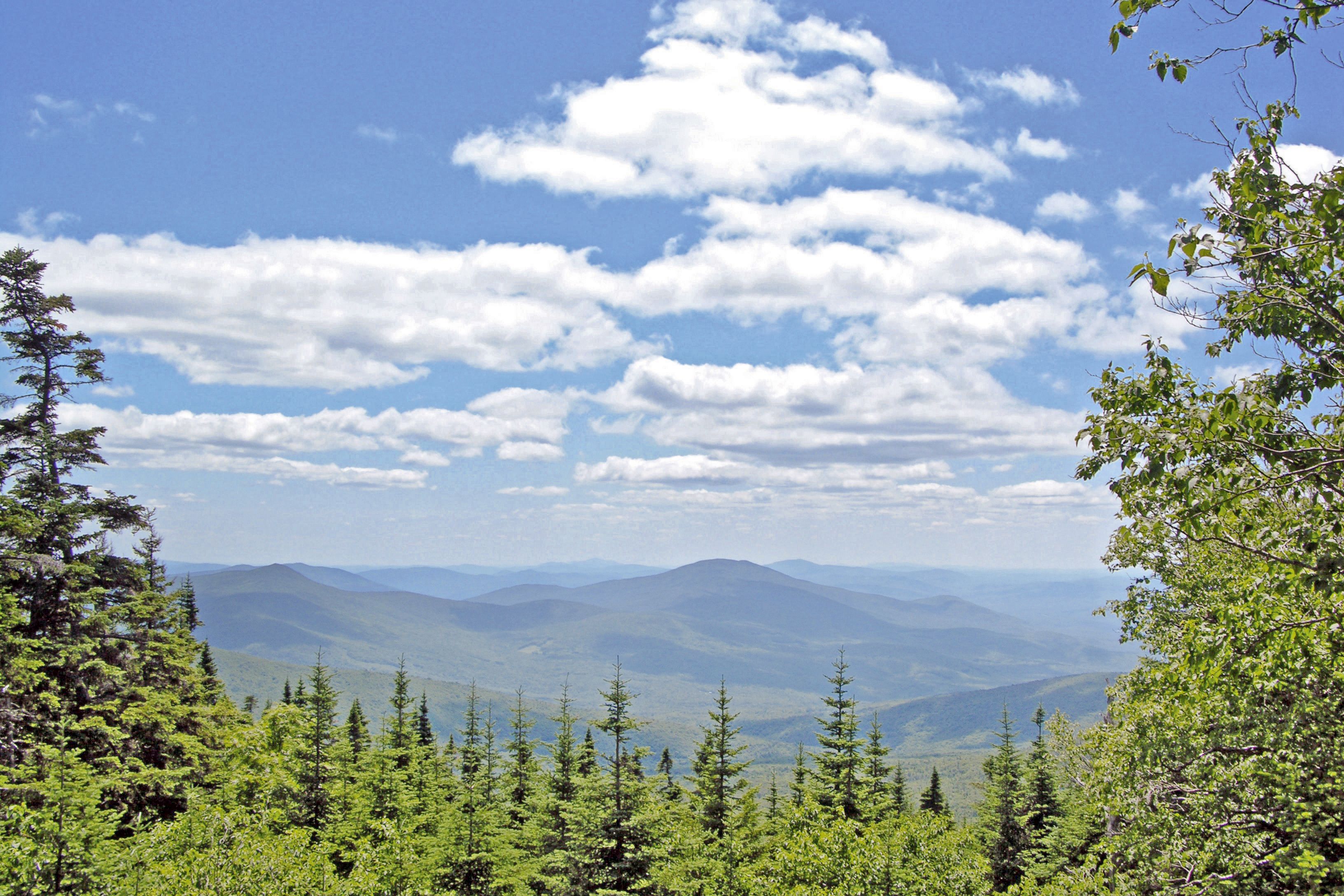 Blick auf die White Mountains
