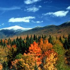 regionen/usa/neuengland-staaten/new-hampshire/white-mountains/berge-herbst-wald.cr1348x1350-307x0 regionen/usa/neuengland-staaten/new-hampshire/white-mountains/berge-herbst-wald.cr1348x1350-307x0
