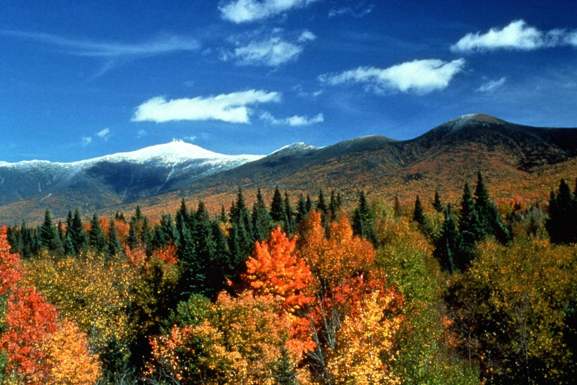 regionen/usa/neuengland-staaten/new-hampshire/white-mountains/berge-herbst-wald.cr2025x1350-0x0