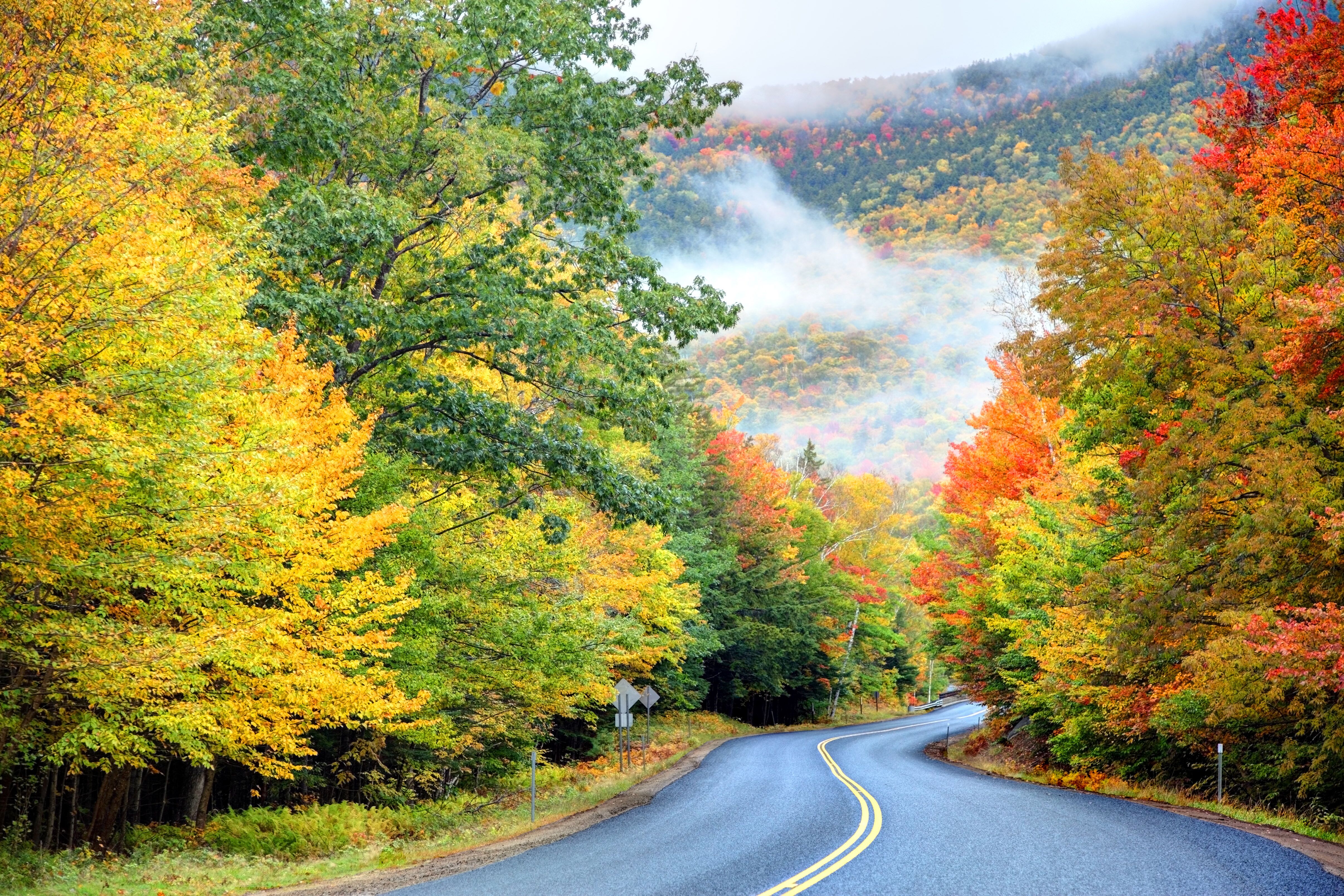Herbstliche Farben zieren den Kancamagus Highway in den White Mountains, New Hampshire