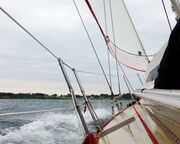 regionen/usa/neuengland-staaten/rhode-island/newport/boot-sightsailing.cr3852x1688-0x169 regionen/usa/neuengland-staaten/rhode-island/newport/boot-sightsailing.cr3852x1688-0x169