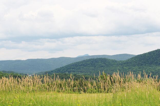 Green Mountains mit Camels Hump, Vermont Green Mountains mit Camels Hump, Vermont