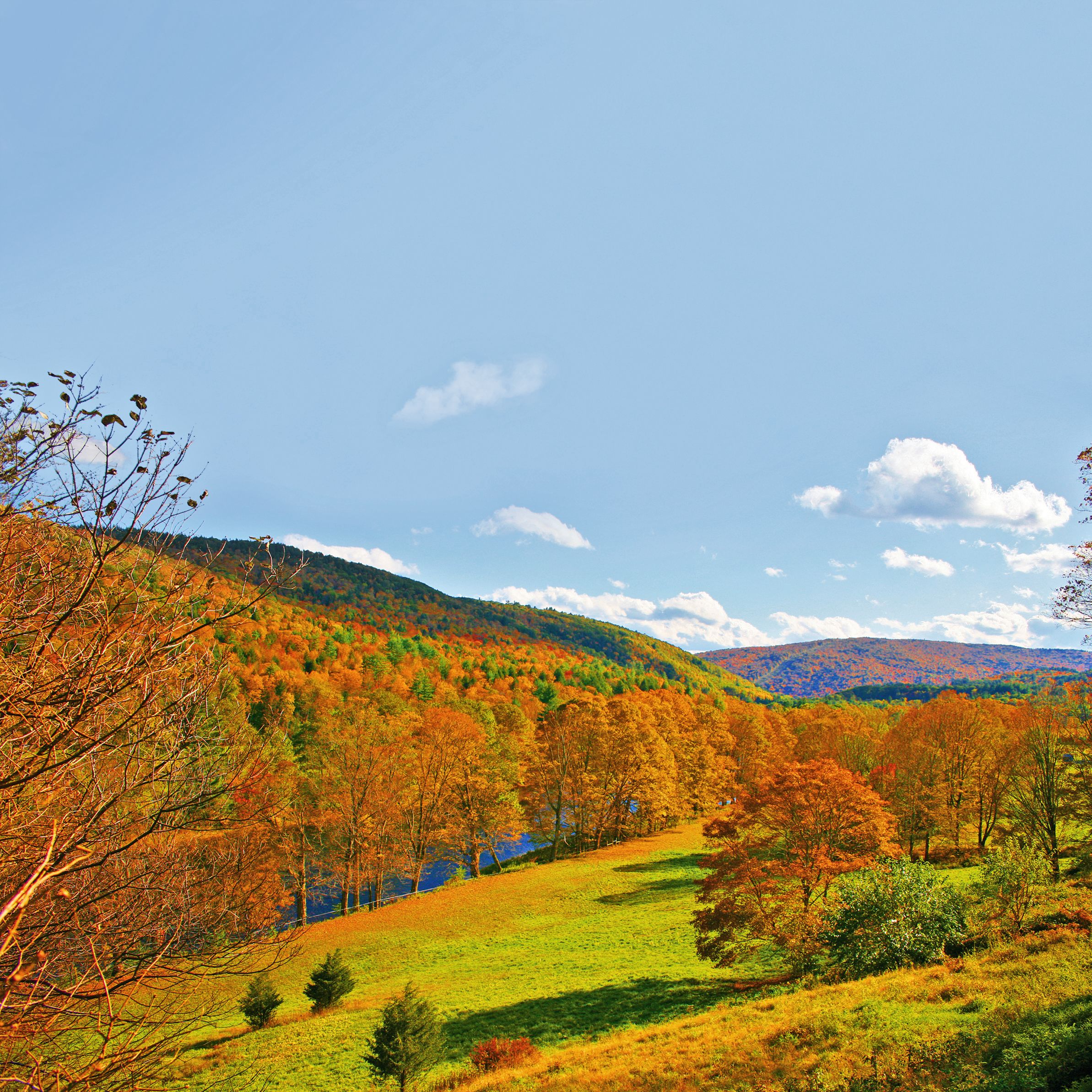 River Road in Newfane