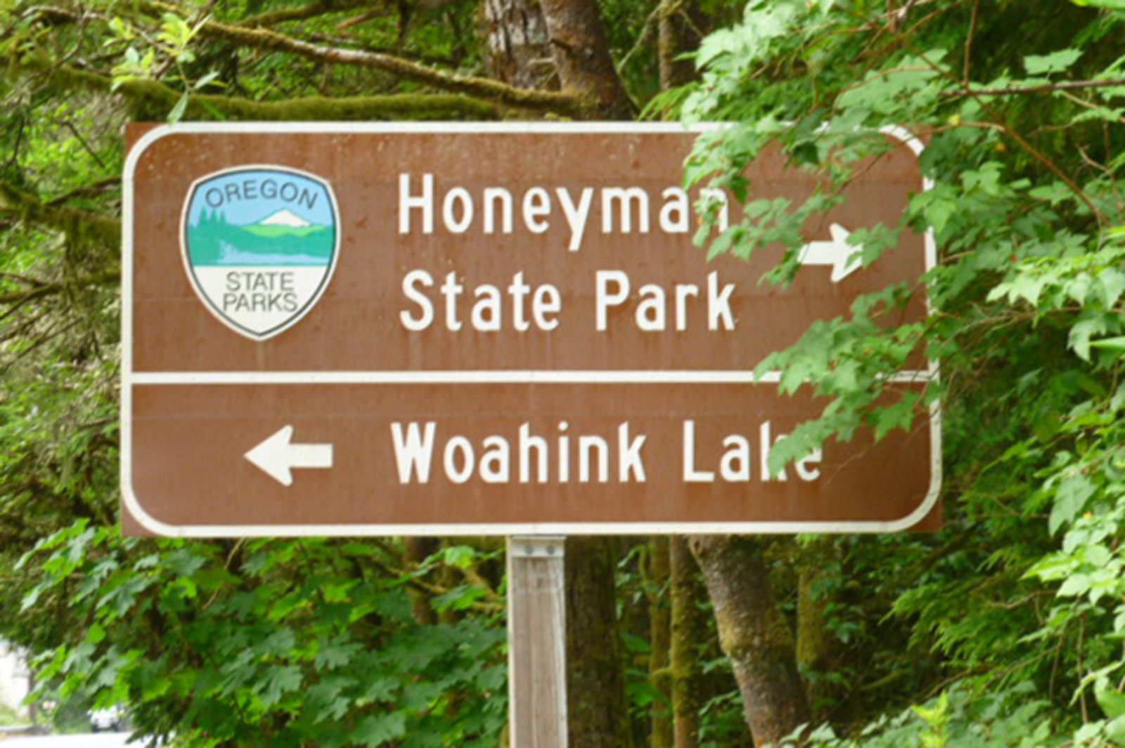 StraÃŸenschild Jessie M. Honeyman Memorial State Park in Oregon