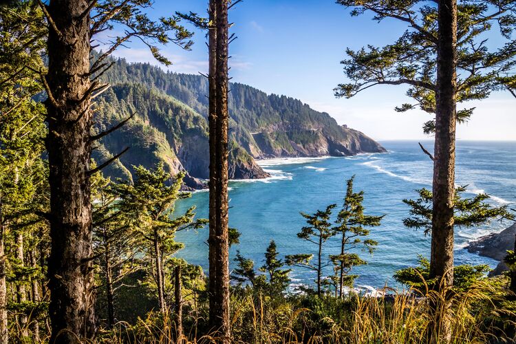 Blick auf den Pazifik im Heceta Head Lighthouse State Park in Oregon