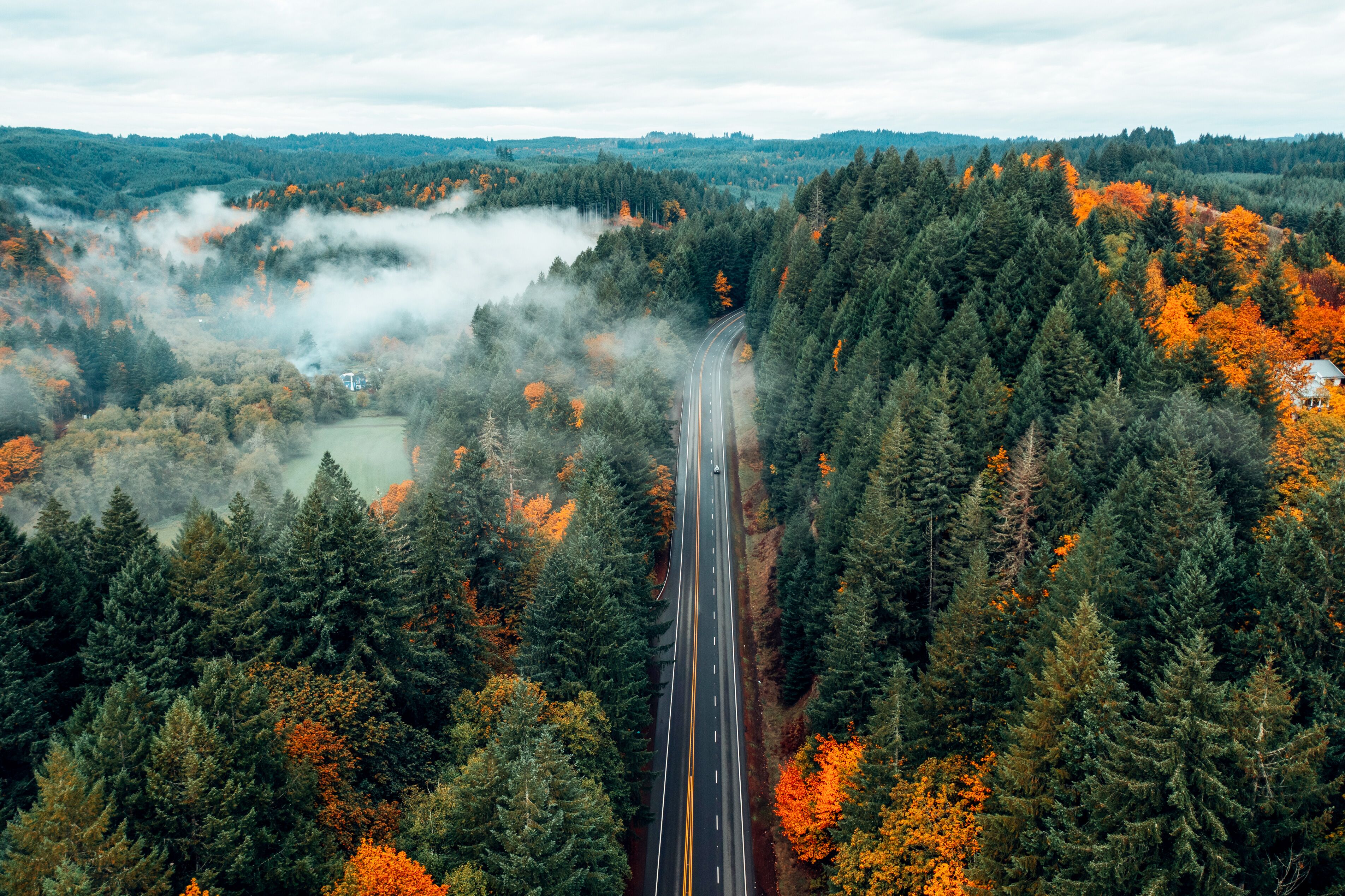 Eine Straße zieht sich durch die herbstlichen Wälder Oregons. Nebelschwaden steigen aus den Wipfeln empor und verleihen dem Bild eine mystische Atmosphäre.