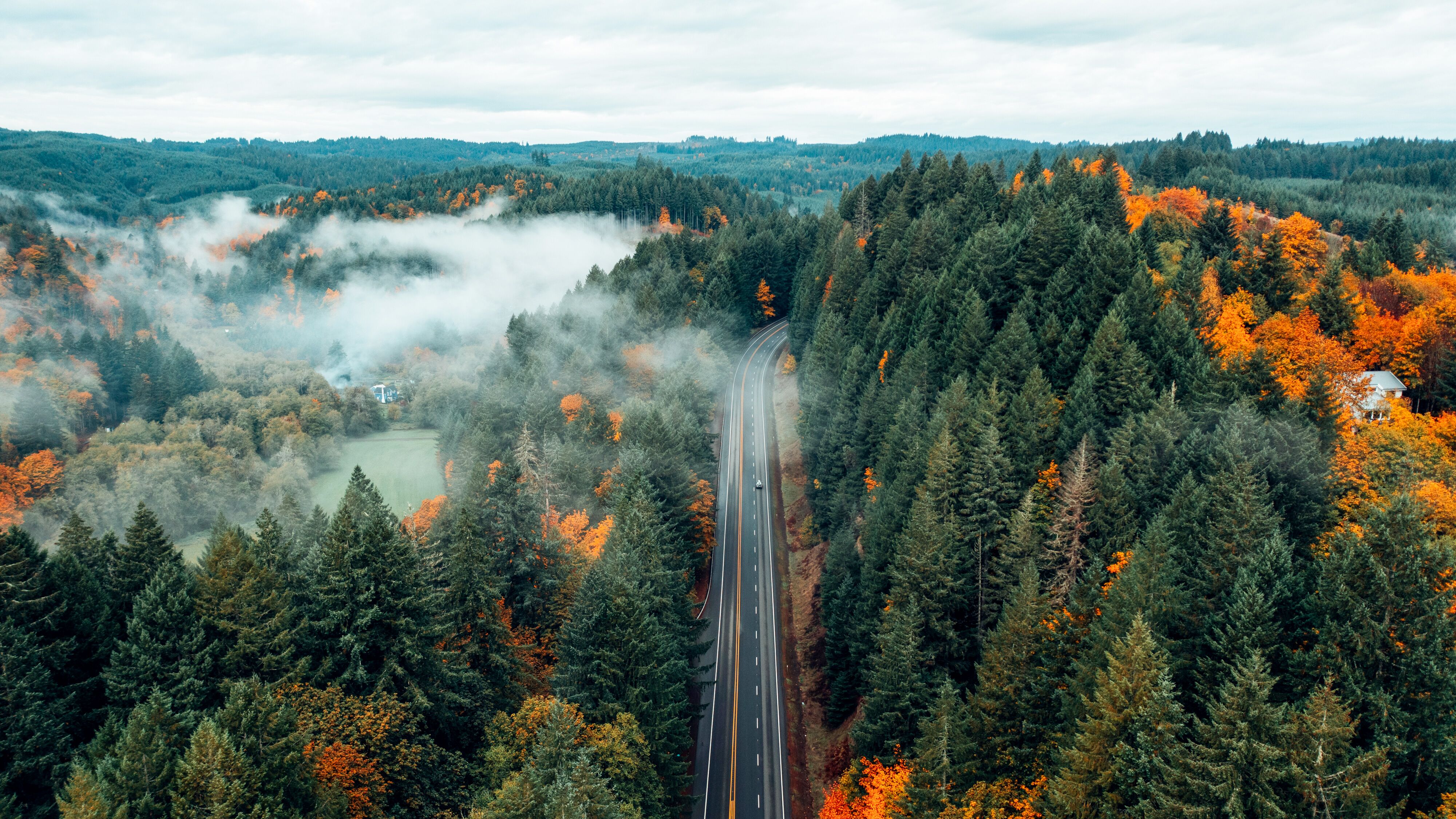 Eine Straße zieht sich durch die herbstlichen Wälder Oregons. Nebelschwaden steigen aus den Wipfeln empor und verleihen dem Bild eine mystische Atmosphäre.