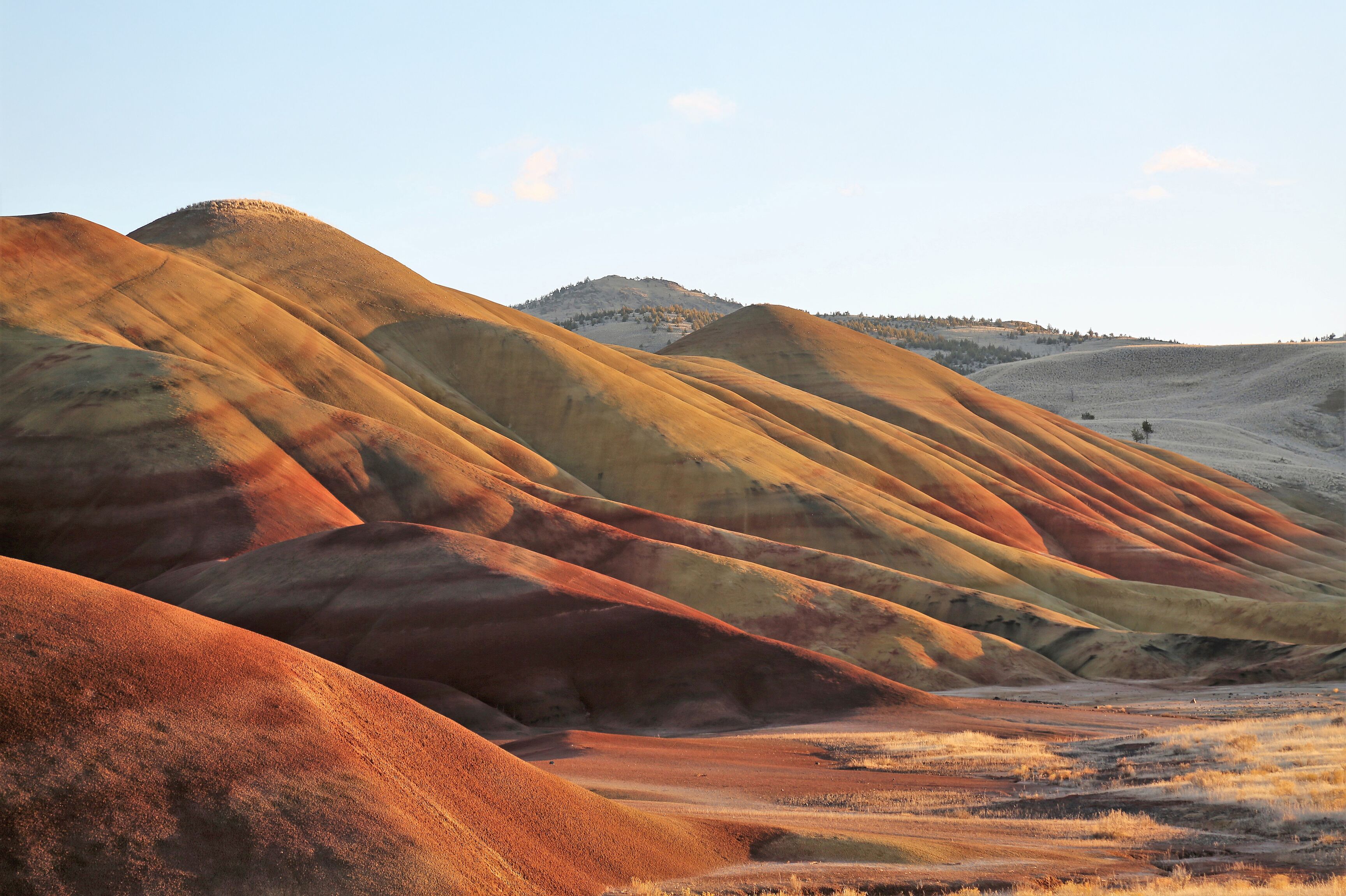 Blick auf die Painted Hills