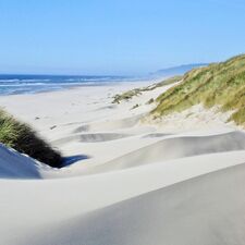 regionen/usa/nordwesten/oregon/dunes-national-recreation-area/kueste-duenen-weite.cr1200x1200-0x0 regionen/usa/nordwesten/oregon/dunes-national-recreation-area/kueste-duenen-weite.cr1200x1200-0x0