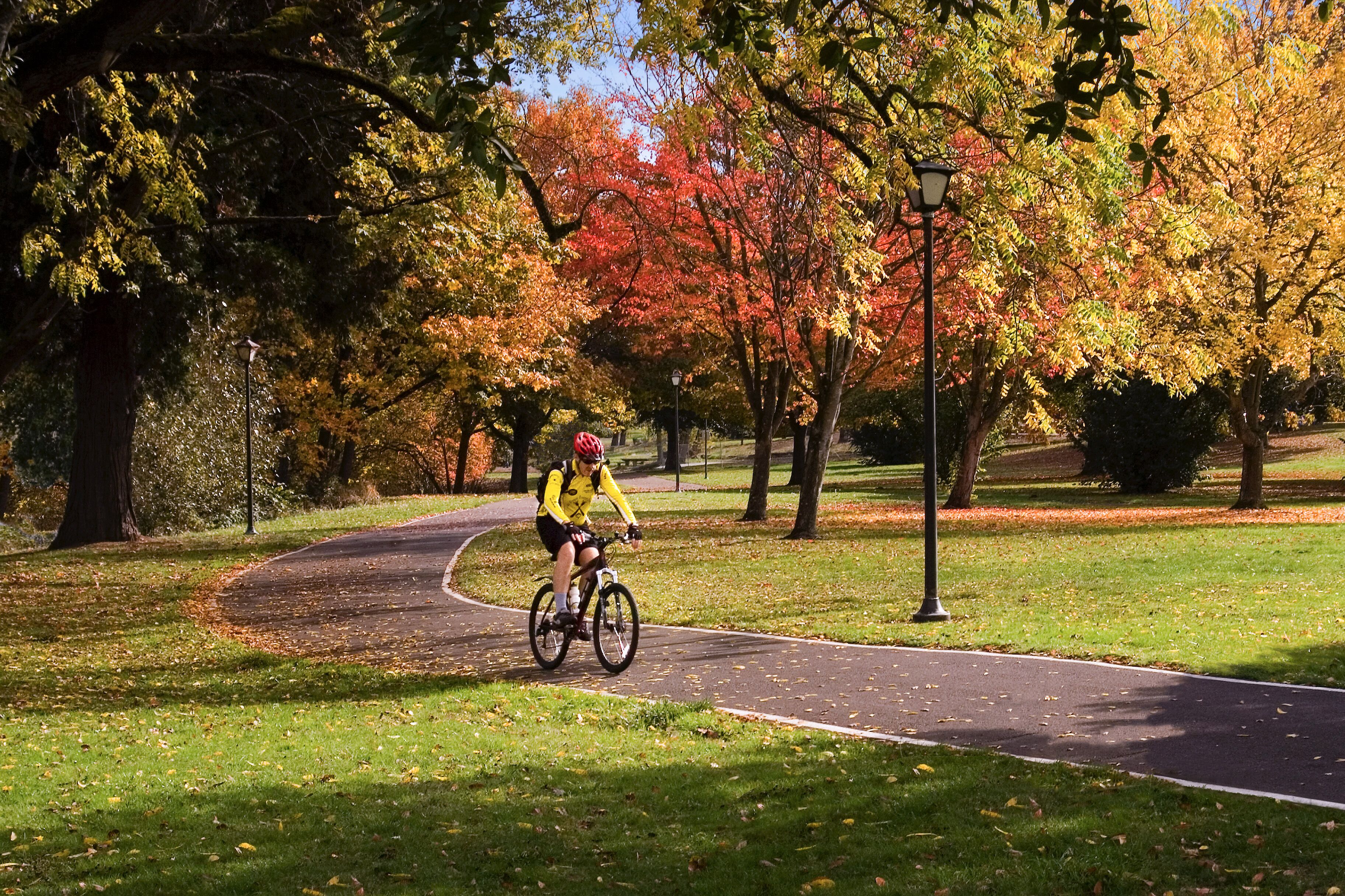 Fahrradfahrer fährt durch das in Herbstfarben getauchte Eugene