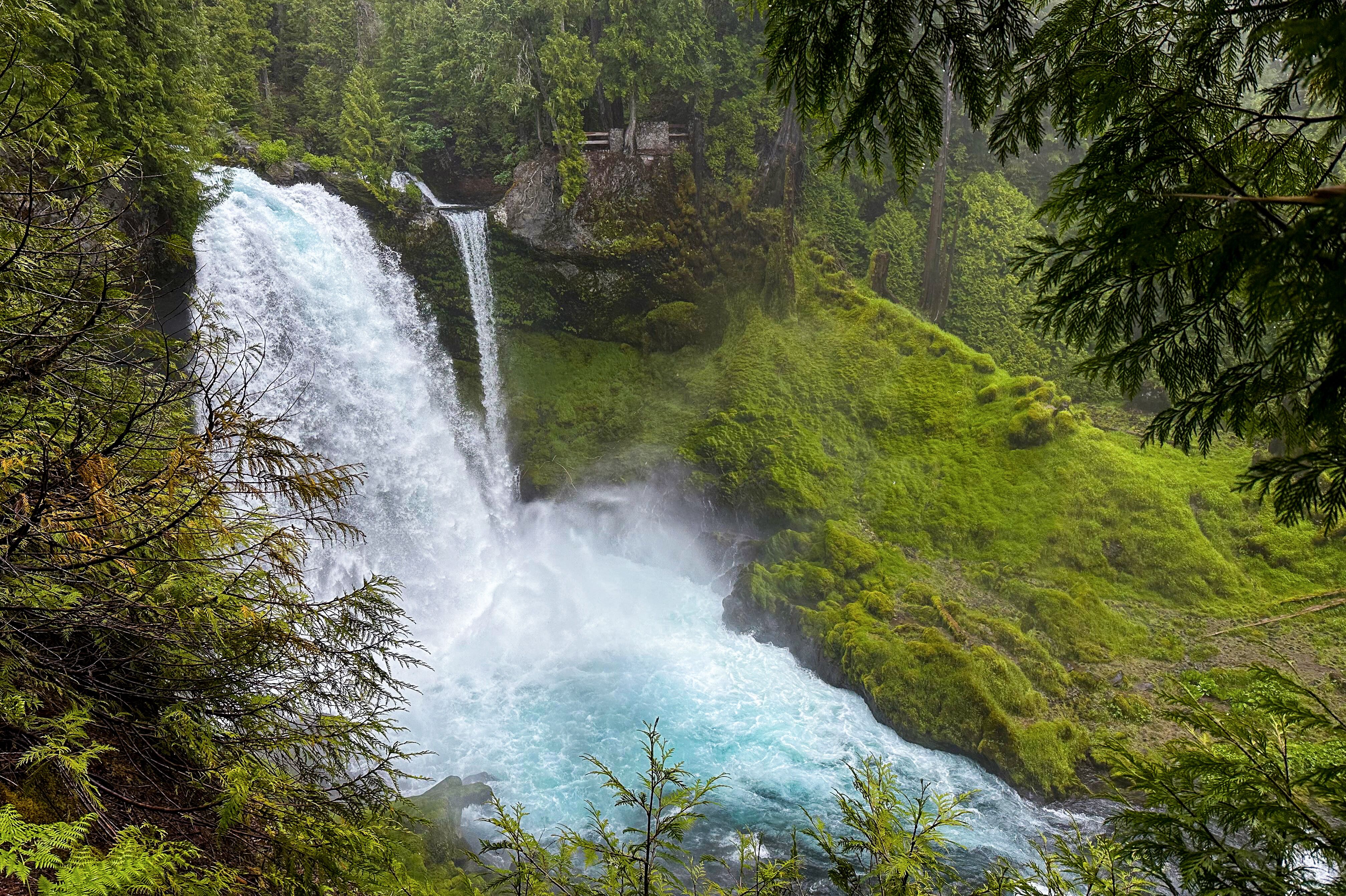 Sahalie Falls im Willamette National Forest in Oregon