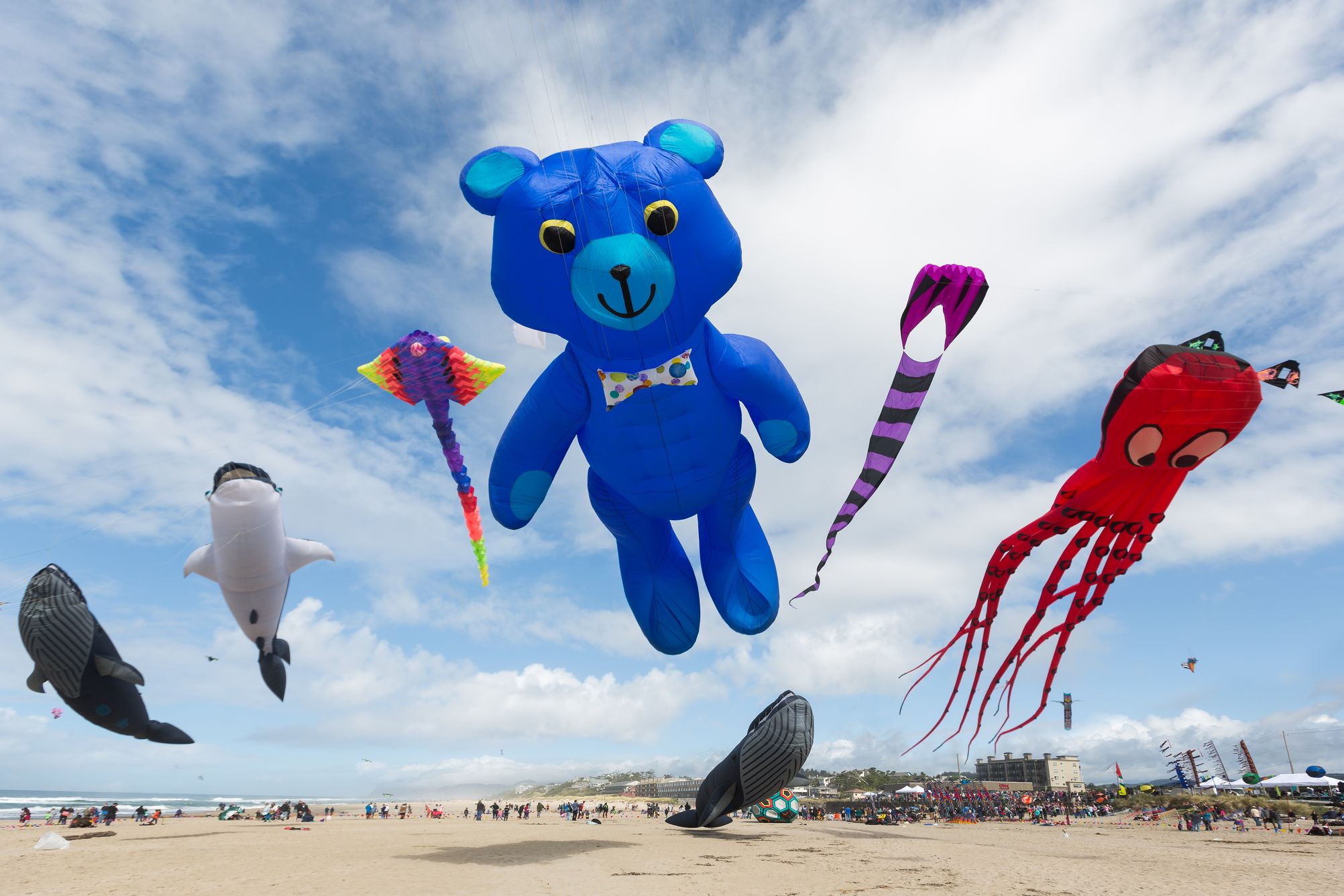 Das Lincoln City Kite Fest am Strand in Oregon