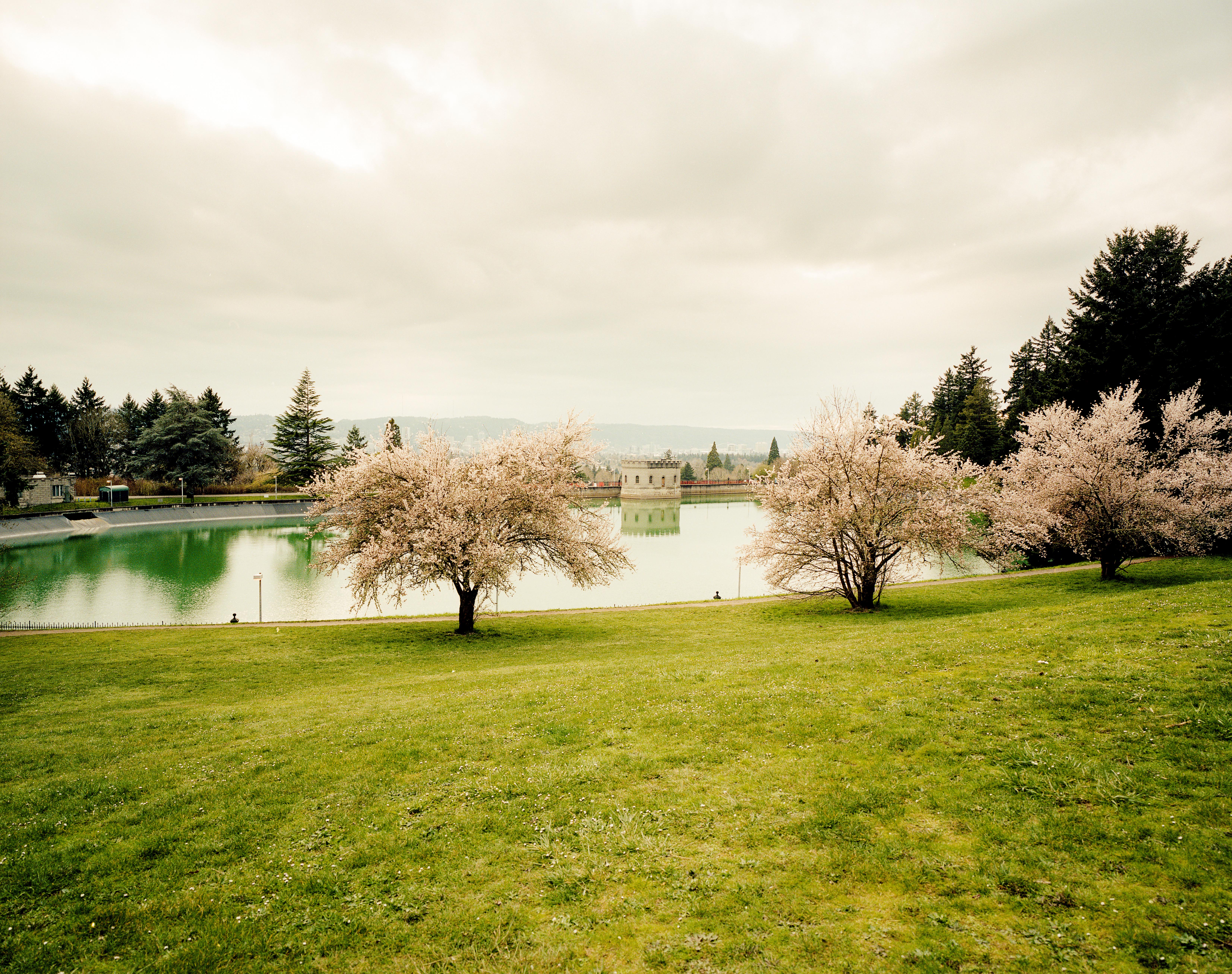 Ein idyllischer Park in Portland