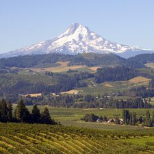 regionen/usa/nordwesten/oregon/portland/mount-hood-landscape.cr2124x2125-185x0