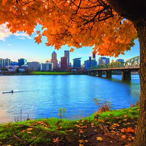 Blick auf die Skyline von Portland vom Ufer des Willamette Rivers