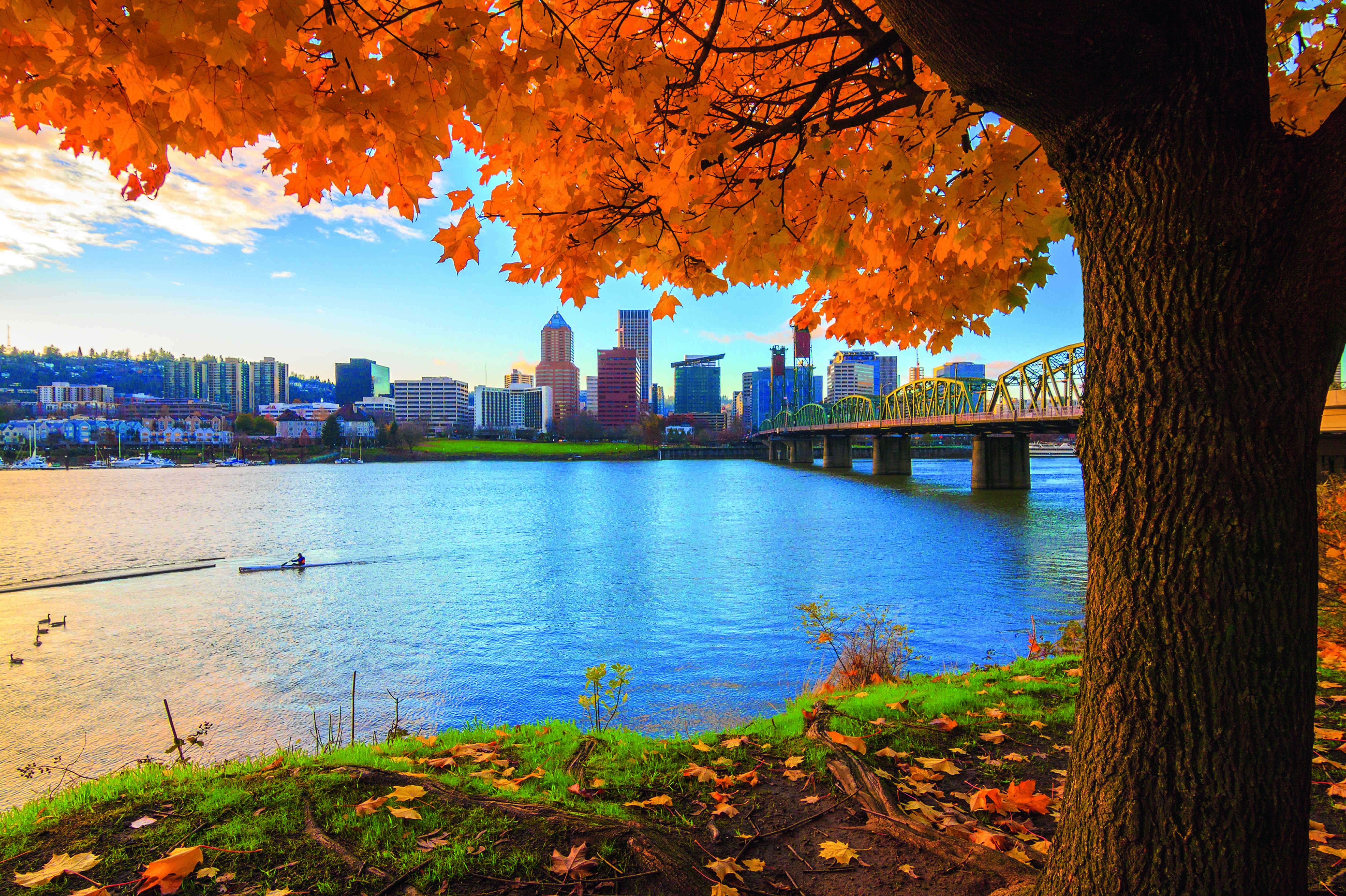 Blick auf die Skyline von Portland vom Ufer des Willamette Rivers