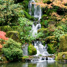 Wasserfall im Japanischen Garten in Portland, Oregon