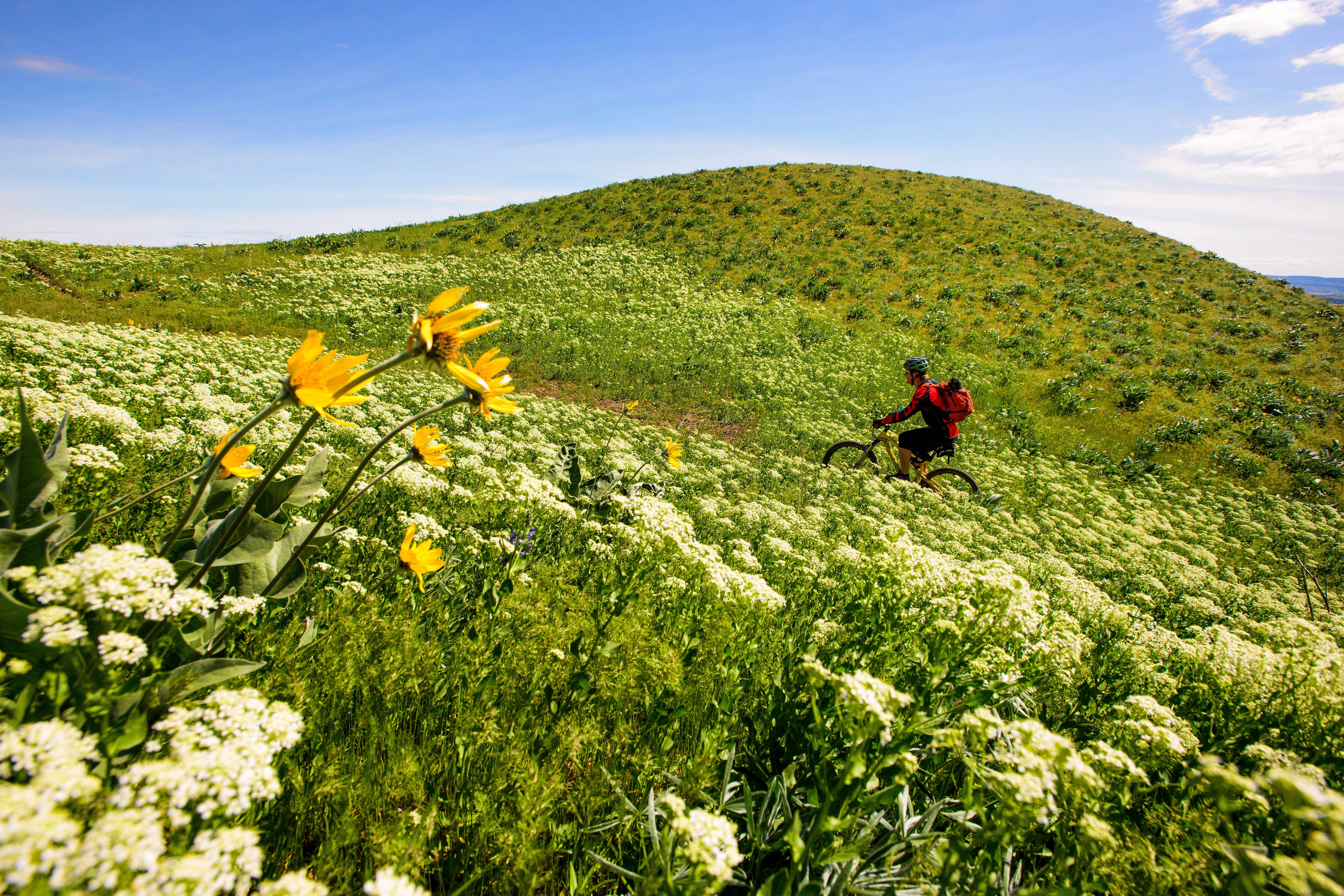 Fahrrad fahren durch die Natur von Wenatchee, Washington State