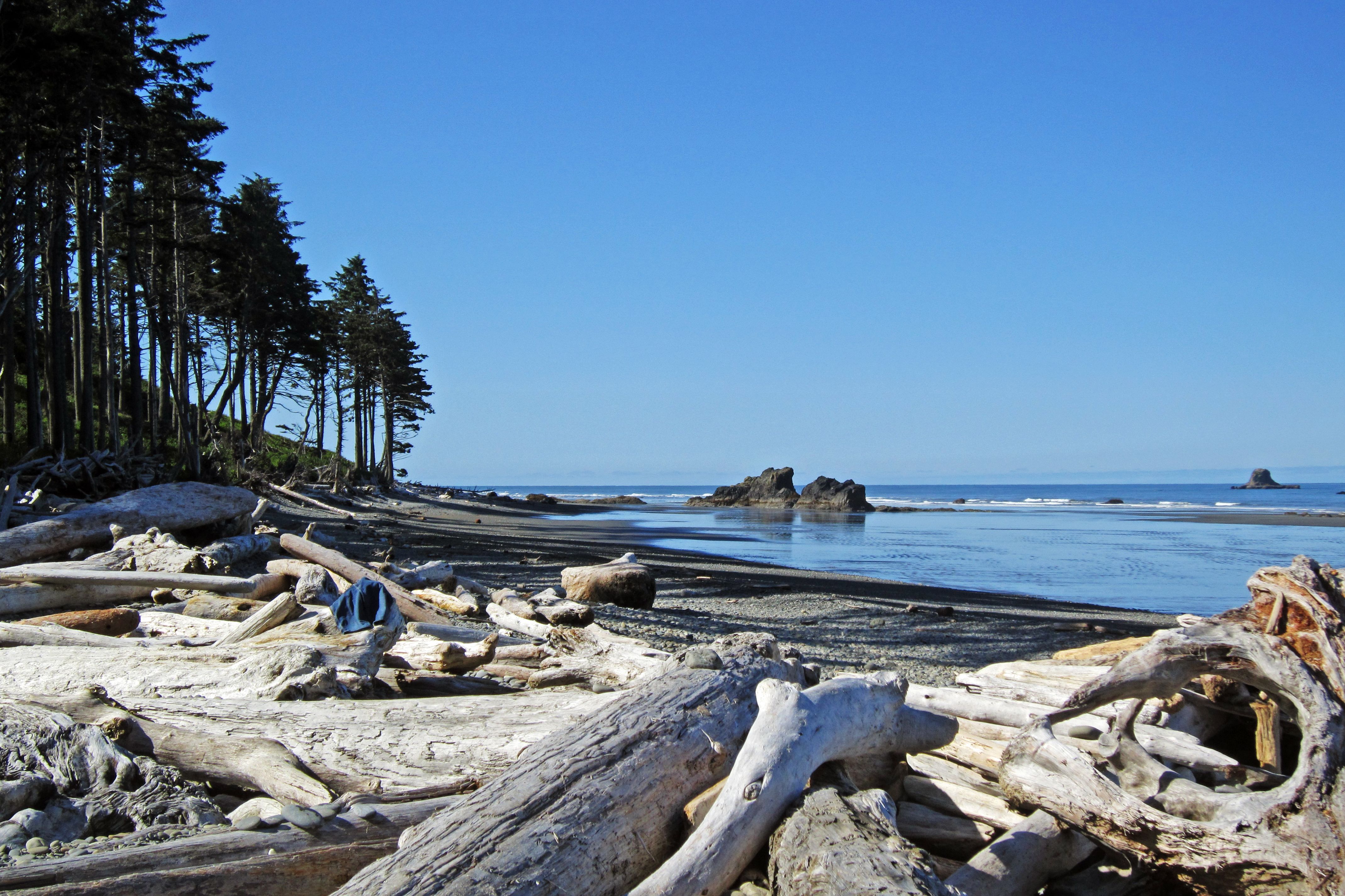 Am Ruby Beach