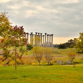 Das Nationale Arboretum in Washington, D.C.