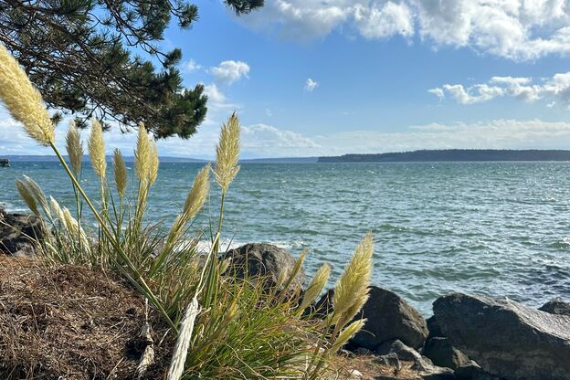 Blick auf den Puget Sound in Washington