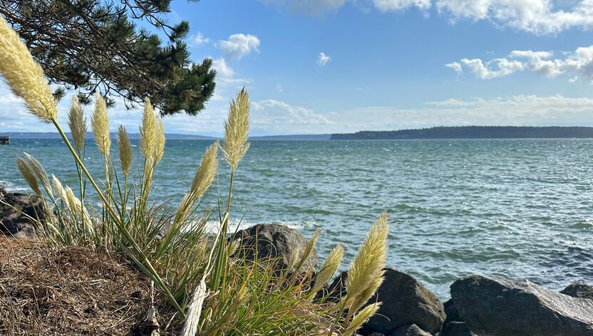 Blick auf den Puget Sound in Washington