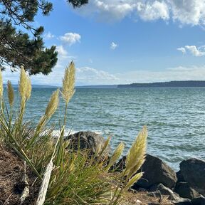 Blick auf den Puget Sound in Washington