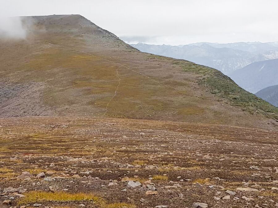 CANUSA-Mitarbeiterin Sabrina Gronwald auf dem Burroughs Mountain in Washington