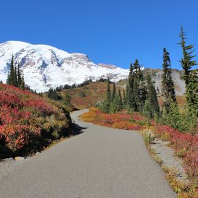 Mount Rainer National Park