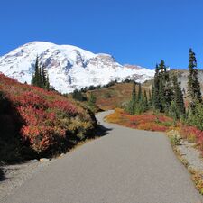 regionen/usa/nordwesten/washington/mount-rainier-national-park/mount-rainier-np-lw2.cr3456x3456-629x0 regionen/usa/nordwesten/washington/mount-rainier-national-park/mount-rainier-np-lw2.cr3456x3456-629x0