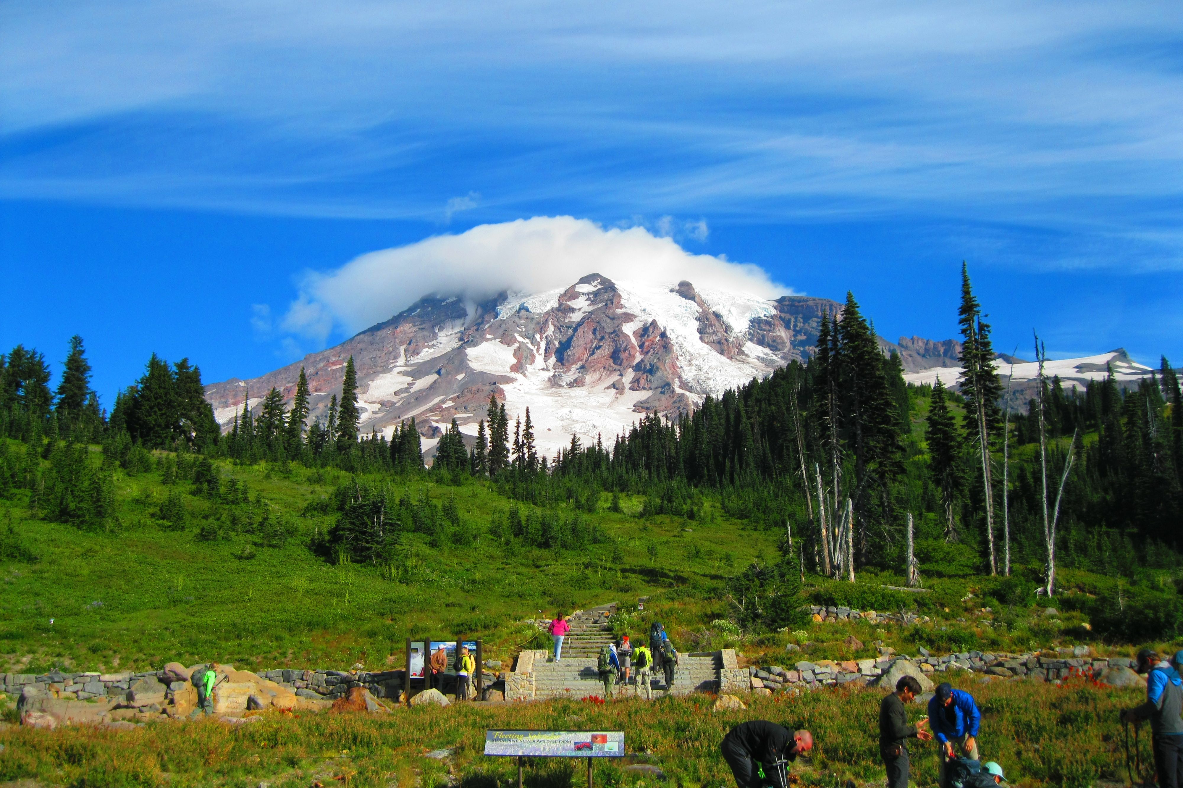 Mt. Rainier