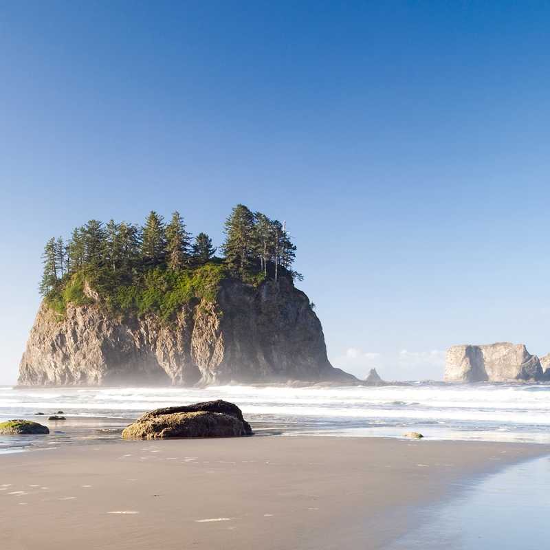 Den Olympic National Park In Washington Erleben! - Canusa.de