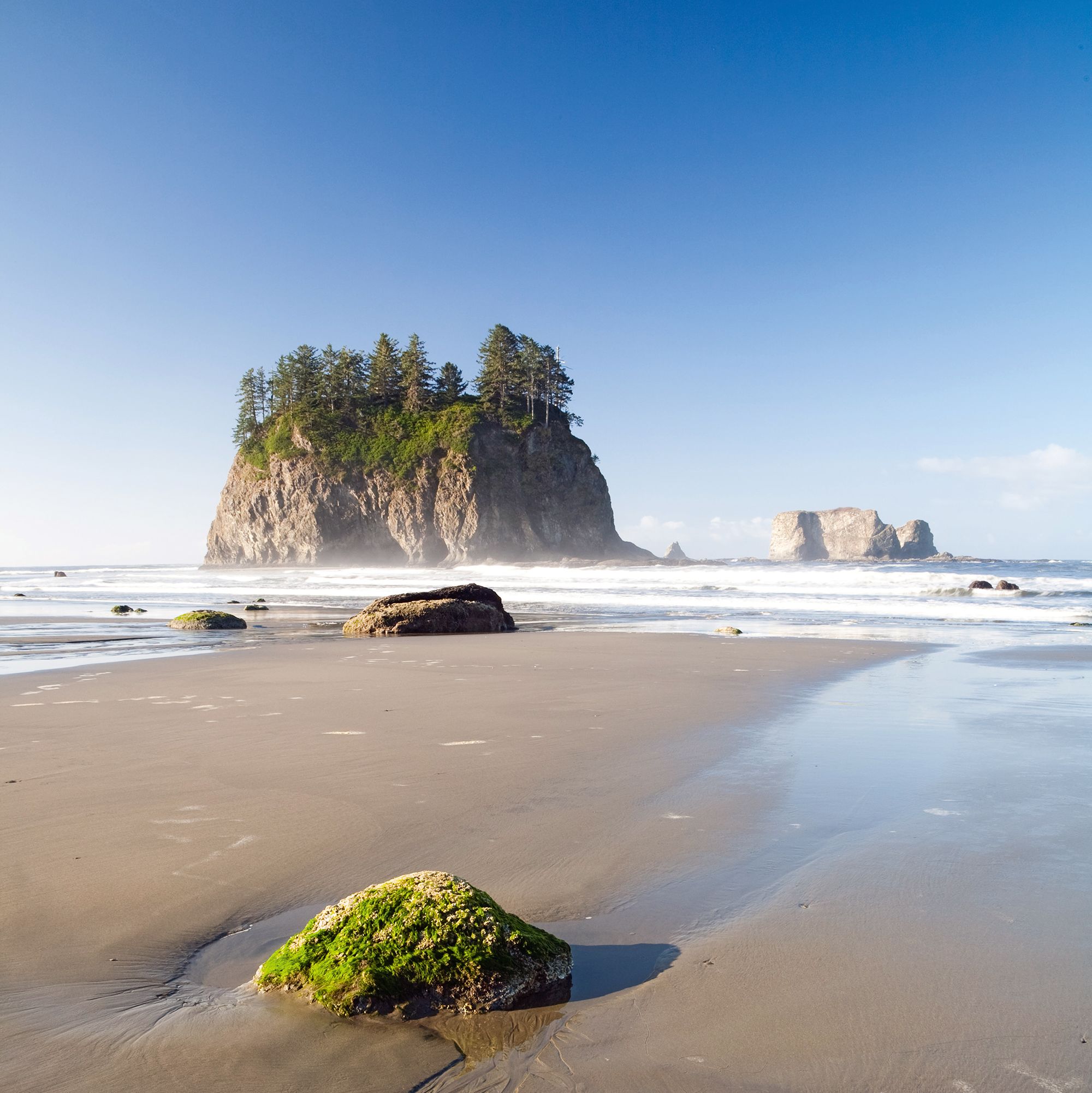 Der Olympic Nationalpark in Washington