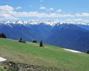 regionen/usa/nordwesten/washington/olympic-national-park/hurricane-ridge-ausblick.cr4320x1892-0x924 regionen/usa/nordwesten/washington/olympic-national-park/hurricane-ridge-ausblick.cr4320x1892-0x924