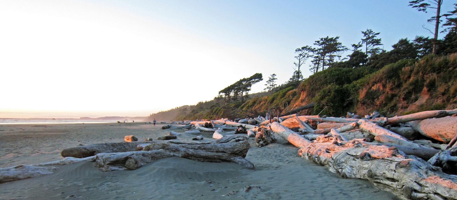 Abendstimmung am Kalaloch Beach