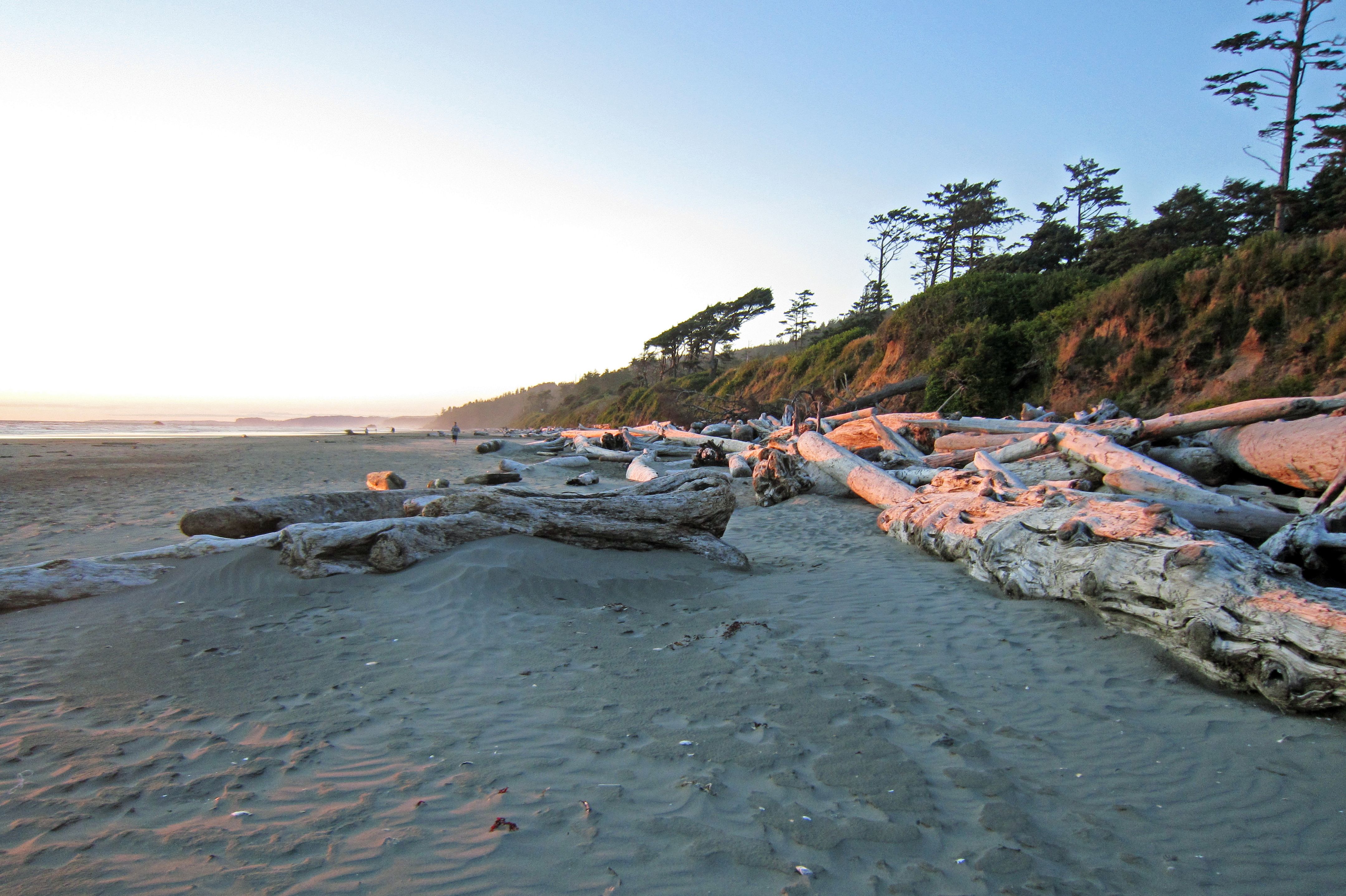 Abendstimmung am Kalaloch Beach