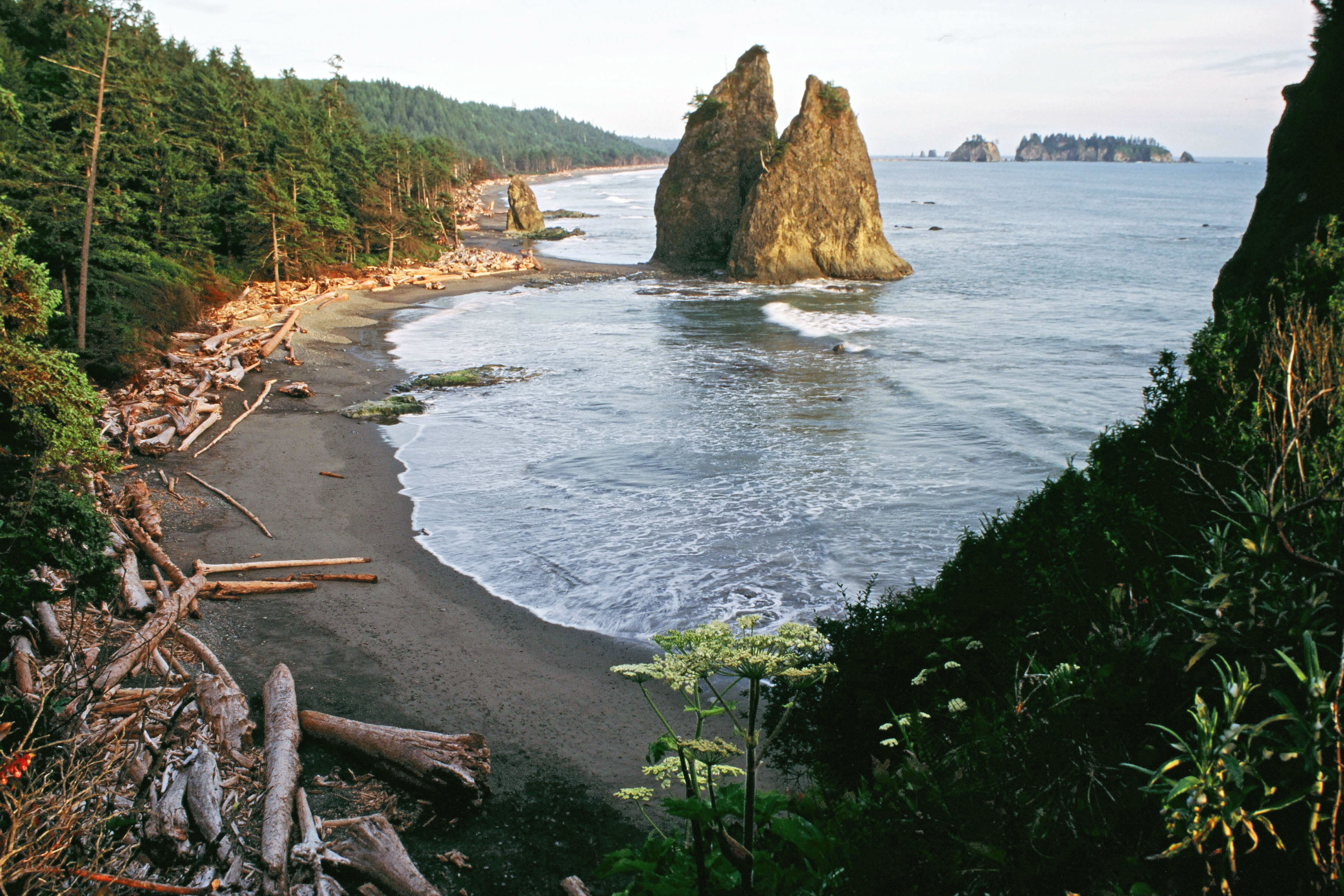 Rialto Beach im Olympic National Park