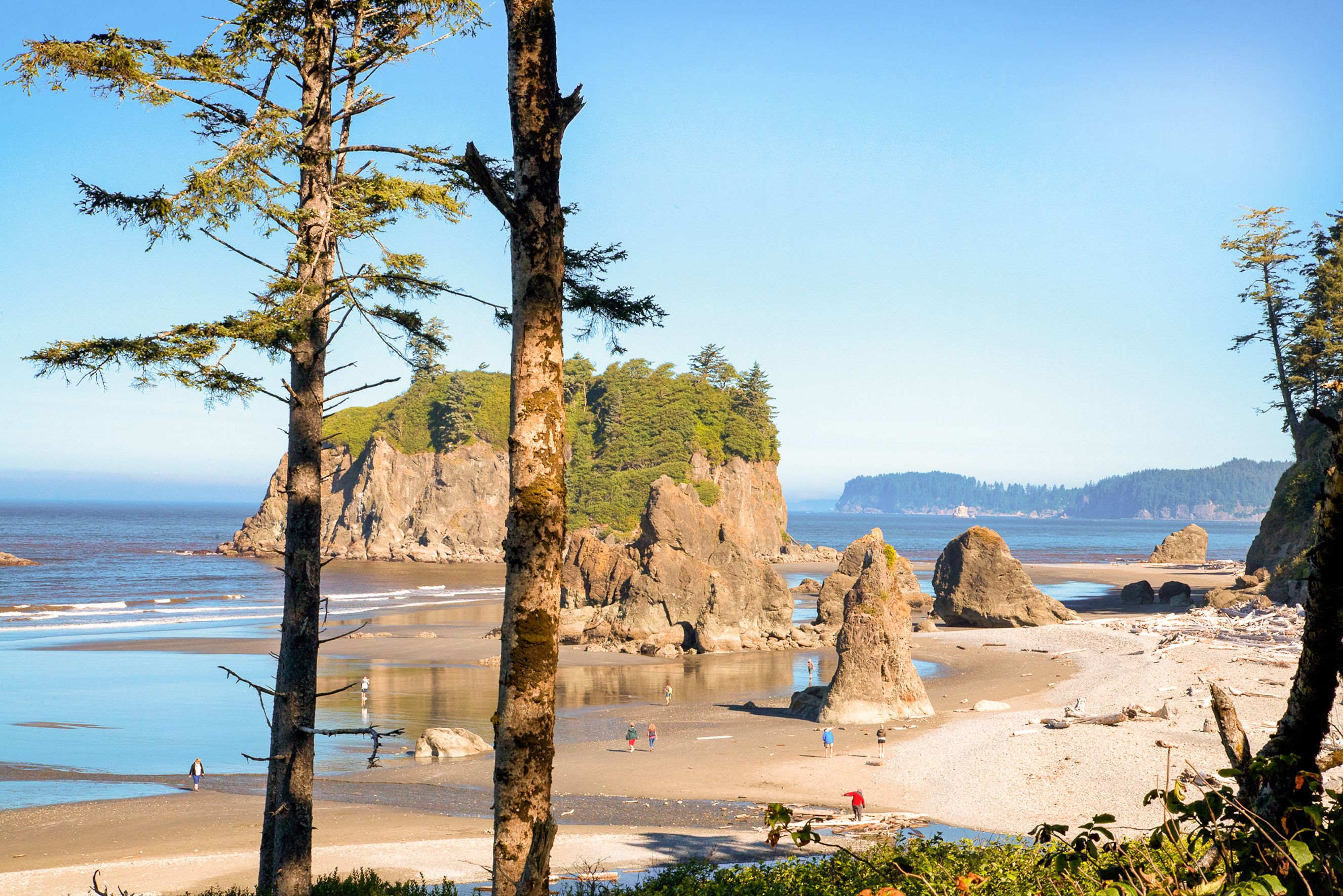 Ausblick auf den Ruby Beach im Olympic National Park in Jefferson County