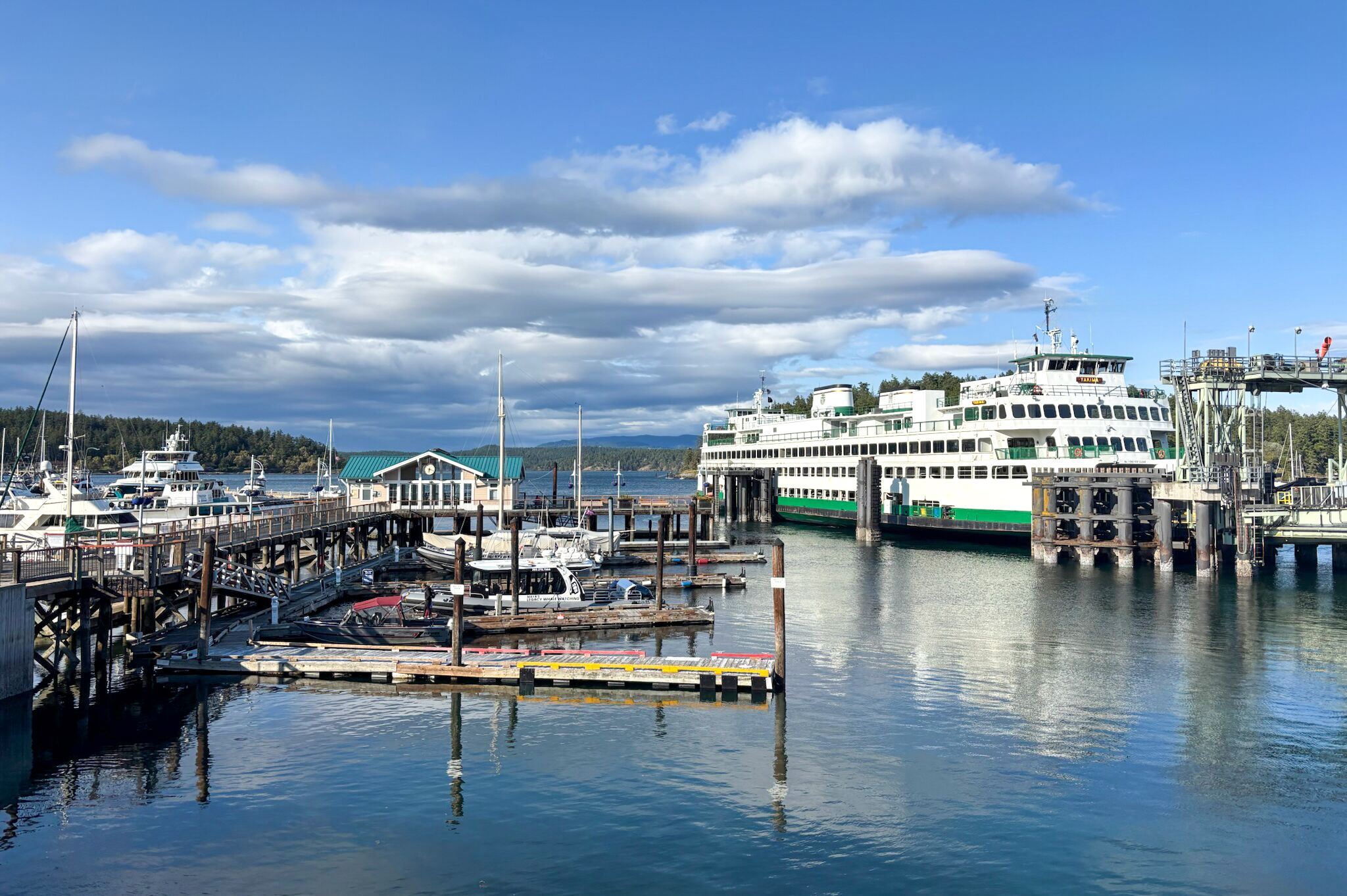 Blick auf den Hafen von Friday Harbor