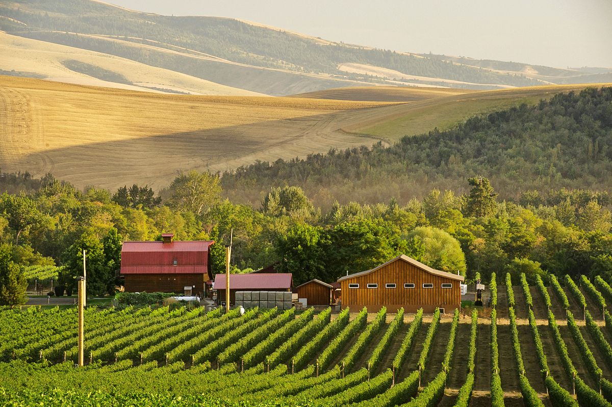 Das Weingut der Weinkellerei Walla Walla Vitners in Washington