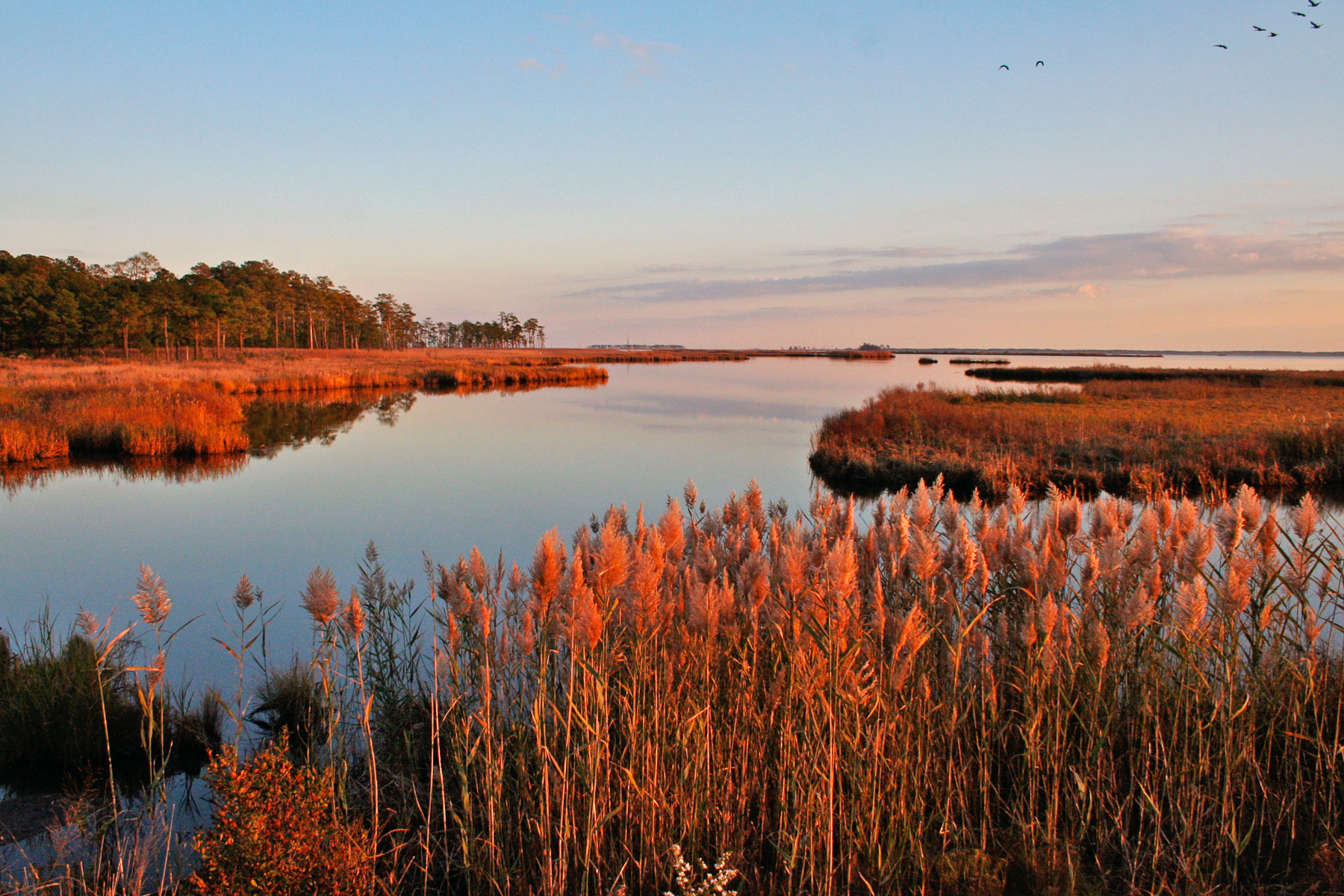 Blackwater im Herbst