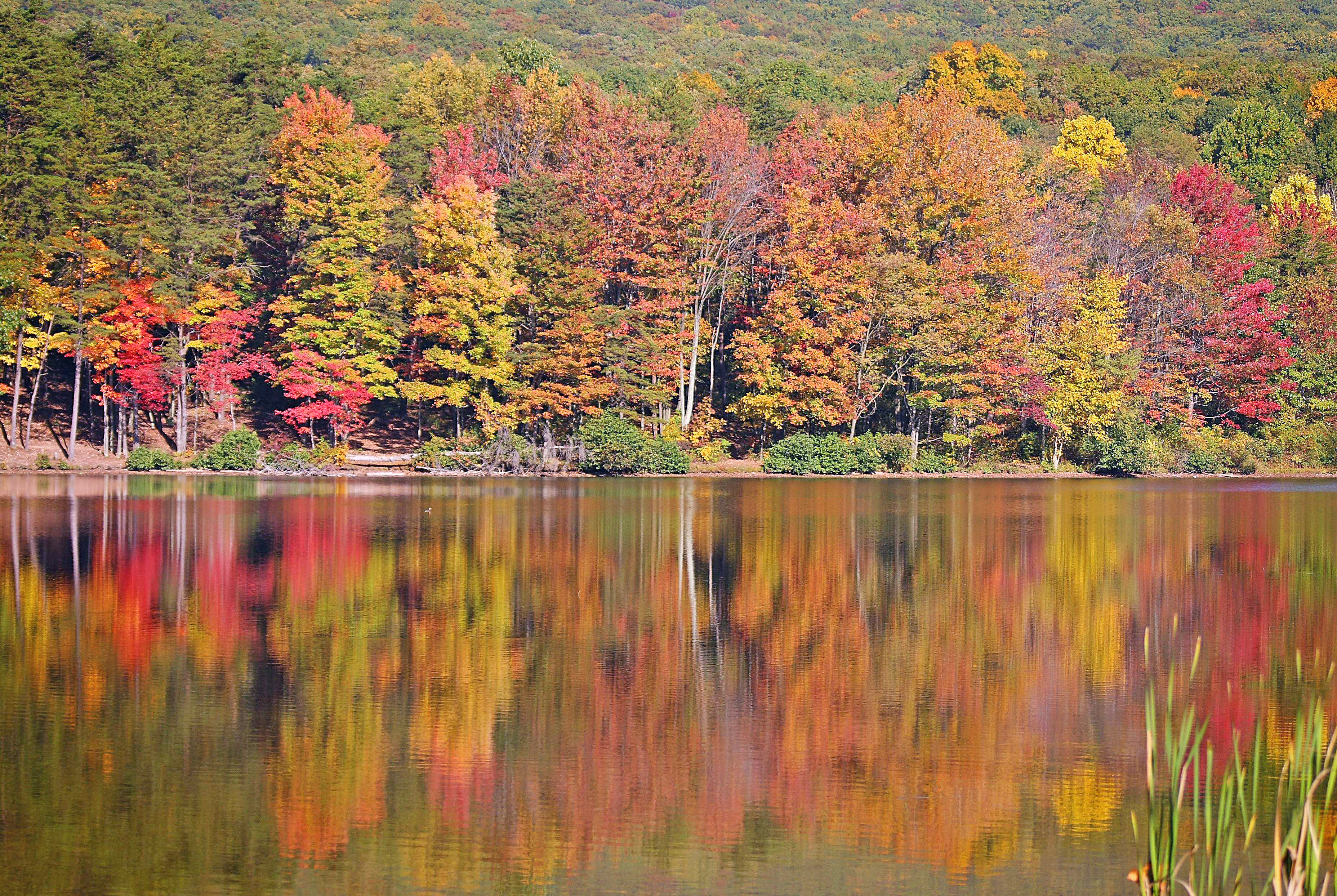 Indian Summer im Rocky Gap State Park