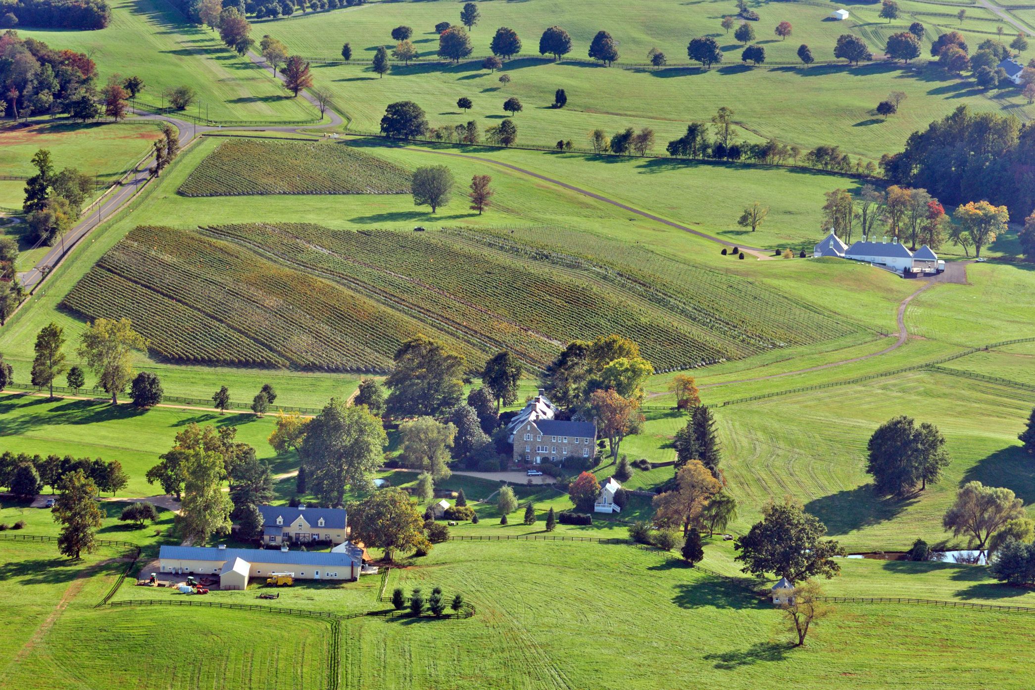 Blick auf die Boxwood Winery