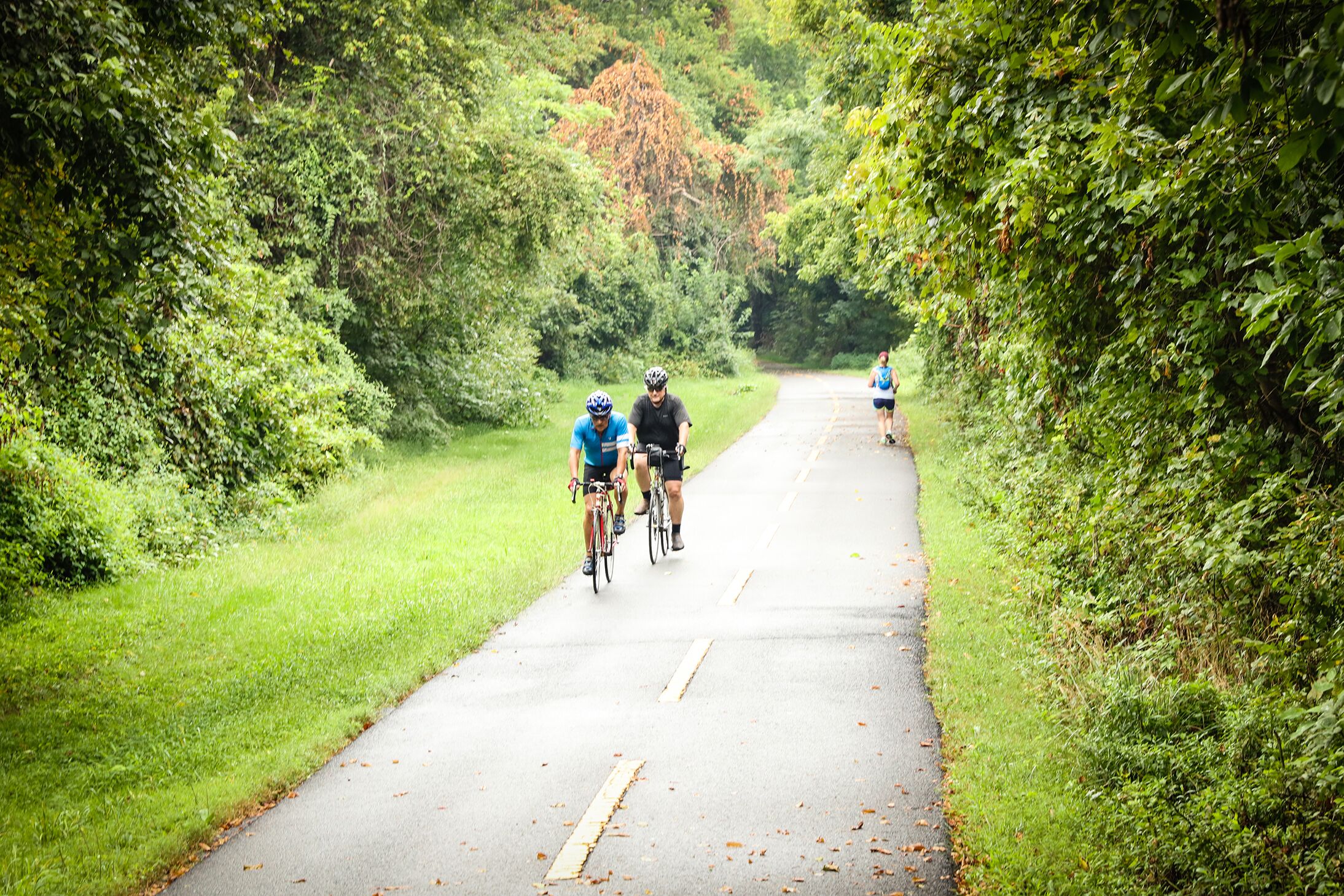 Fahhradfahren durch Fairfax County