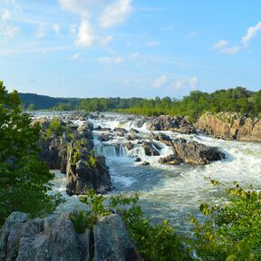 Wasserfall im Great Falls Park